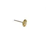Brass Brushes, 3 / 4",