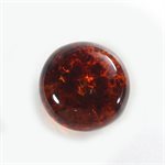 Amber, 6.0mm, Round, Cabochon, Orange